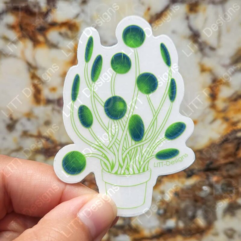 Portals Plant Sticker Photo